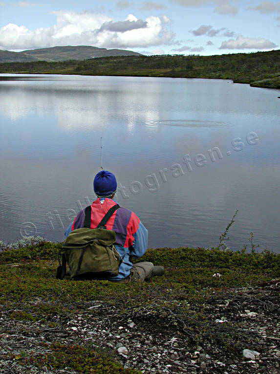 Fiske i fjällsjö fiske, fjällfiske, haspel, haspelfiske, Långtjärn, spinn, spinnfiske, sportfiske