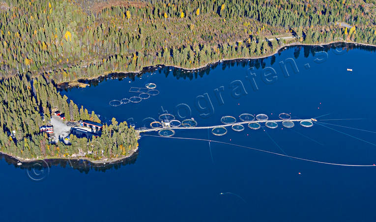 Fiskodling Landösjön drönarbilder, drönarfoto, flygbild, flygbilder, Flygfoto, flygfoton, Jämtland, Landskap, Landön, Landösjön