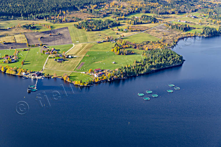Fiskodling vid Hoverberg byar, drönarbilder, drönarfoto, flygbild, flygbilder, Flygfoto, flygfoton, Hoverberg, Jämtland, Landskap