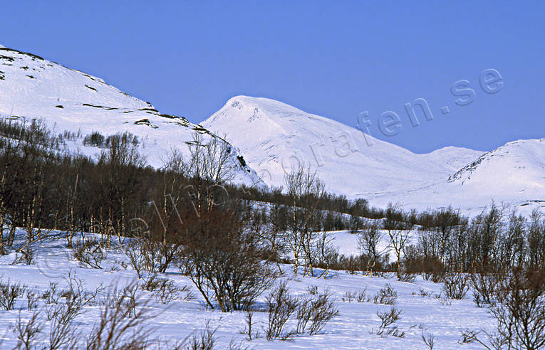 Darneke, fjll, fjllmassiv, Landskap, lappland, vinter
