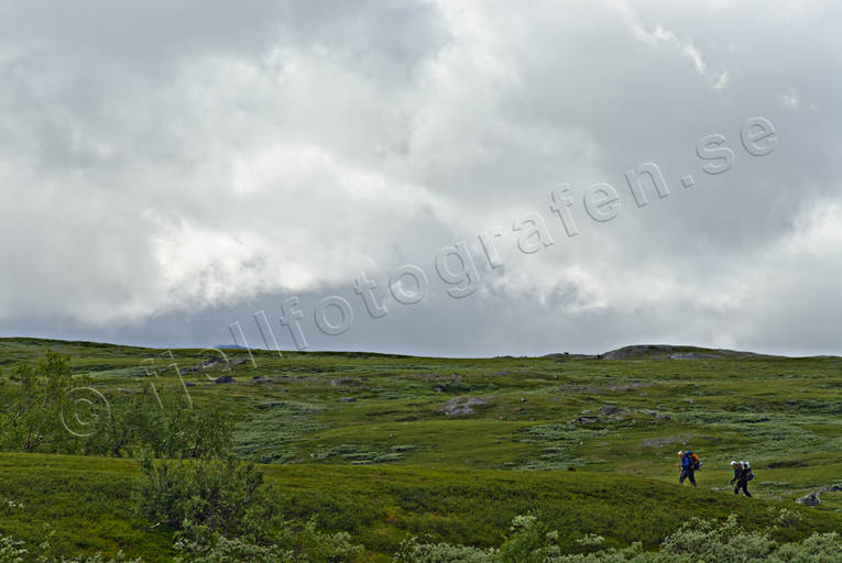 fjllvandring, nationalpark, Padjelanta, sommar, ventyr