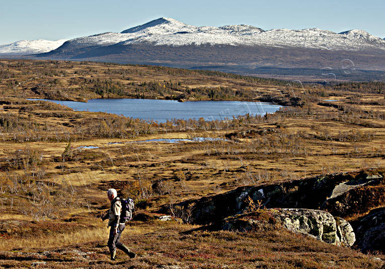 fjll, fjllen, fjllnatur, fjlltjrn, fjlltopp, fjllvandra, fjllvandrare, fjllvandring, fjllvistelse, hgfjll, hst, hstfrger, Jmtland, nysn, Sandtjrn, Snasamassivet, Snasen, Storsnasen