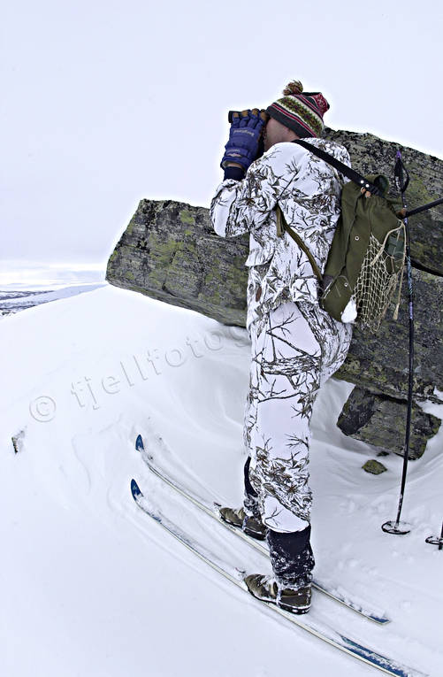 Fjälljägare spanar efter ripor fjällen, fjälljakt, fjälljägare, jakt, kikarspana, ripa, ripjakt, spana, vinter, vinterjakt ripa, vinterripa