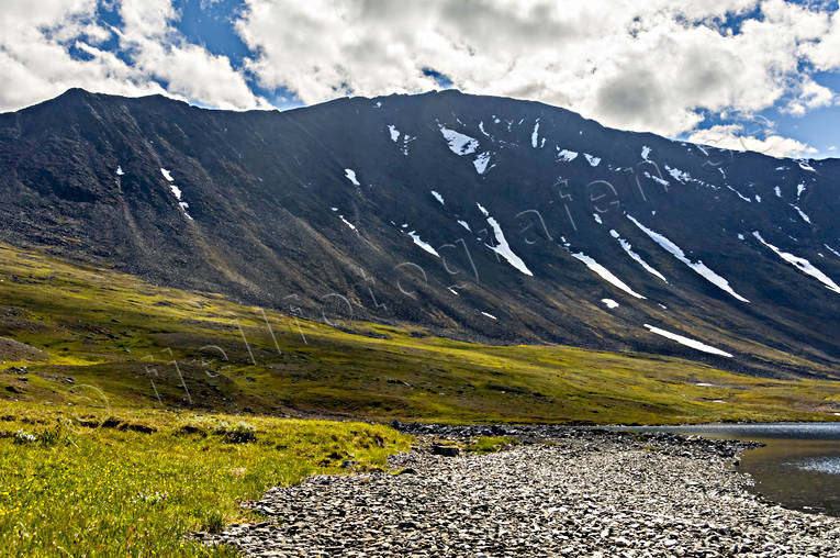 Fjällsida vid Livamjaure, Kårsatjåkka fjällsida, Kårsatjåkka, Landskap, lappland, Livamjaure, Livamvagge, sommar