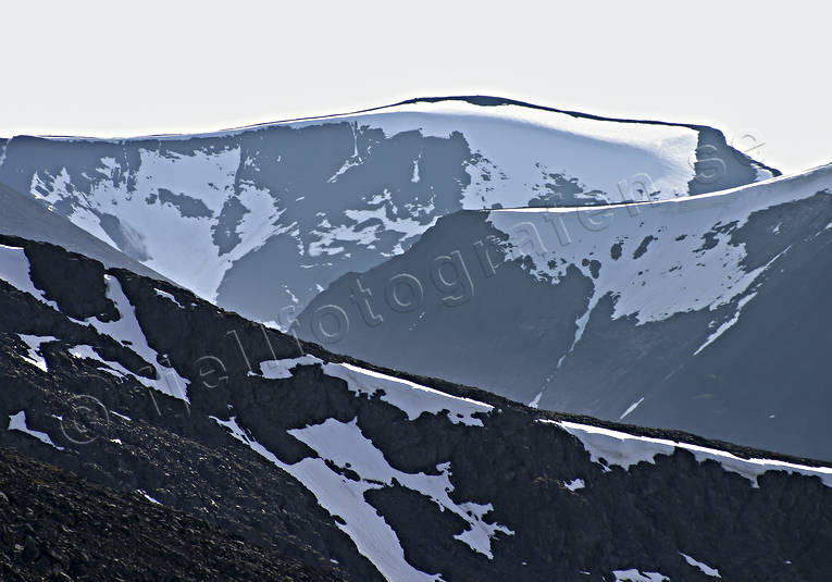 Fjällsidor i Lappland fjäll, fjällbrant, fjällbranter, fjällen, fjälltopp, högfjäll, Landskap, lappland, natur, snö, snöfält, sommar