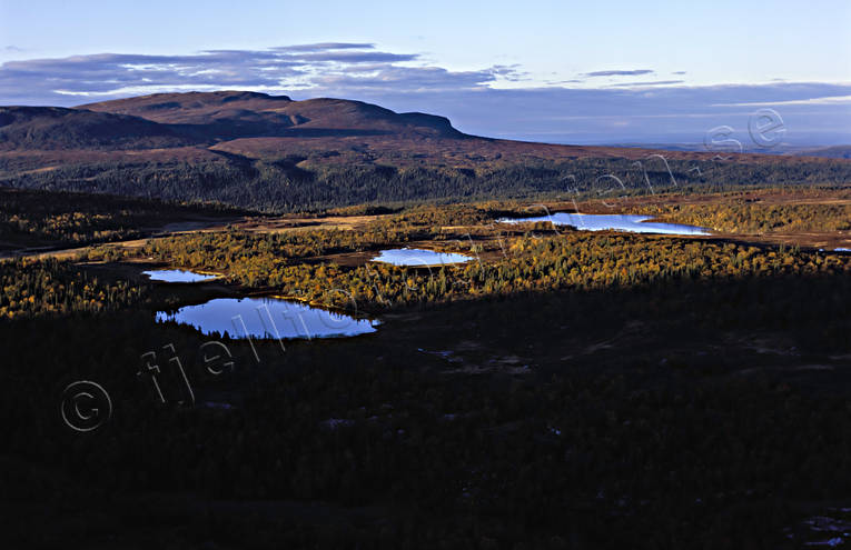 Fjälltjärnar i Rulldalen drönarbilder, drönarfoto, Falkvalen, fjällen, fjällsjöar, fjälltjärnar, flygbild, flygbilder, Flygfoto, flygfoton, Hottögsfjället, höst, höstfjäll, höstfärger, Jämtland, kväll, Landskap, naturreservat, Rulldalen, Rullån, sjöar, Svenska Fjällen, tjärnar, vattenspeglar, Öringsjön