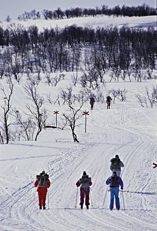 Fjällturister på skidtur fjäll, fjälltur, fjällturism, fjällturister, led, skidor, skidåkning, turism, turister, turåkare, turåkning, uteliv, vinter, äventyr