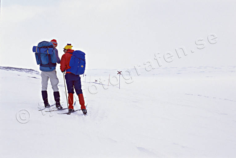Fjällturister utefter led fjäll, fjälled, fjälltur, fjällturister, led, skidor, skidåkning, turister, turåkare, turåkning, uteliv, vinter, äventyr