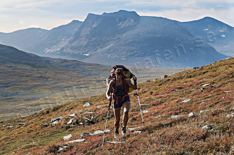 Fjällvandring i Sylarna fjäll, fjällen, fjällnatur, fjälltopp, fjällvandra, fjällvandrare, fjällvandring, fjällvistelse, friluftsliv, högfjäll, höst, höstfärger, Jämtland, Landskap, sylarna, Sylmassivet, Syltoppen, uteliv, äventyr