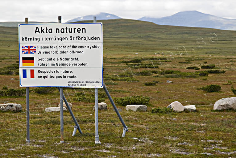 Flatruet fjällen, fjällhed, Flatruet, Härjedalen, Landskap, natur, naturvård, skylt, sommar