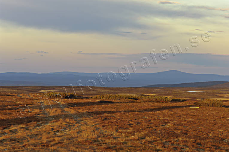 fjll, fjllhed, Flatruet, Hrjedalen, hst, Landskap, rstid, rstider