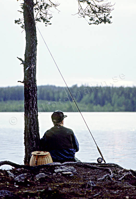Flugfiskare i solnedgång fiske, flugfiskare, flugfiske, Landsomsjön, solnedgång, sportfiske