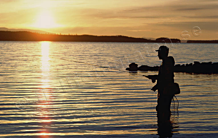 Flugfiske i Storsjön fiske, flugfiske, harr, harrfiske, sportfiske, Storsjön