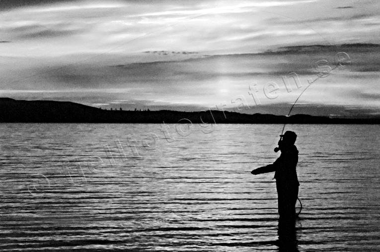 Flugfiske i solnedgången fiske, flugfiske, kväll, kvällsfiske, röd, solnedgång, sportfiske, Storsjön, stämning, stämningsbild, stämningsbilder
