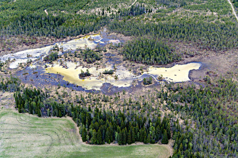 Flygfoto över Bleikamyr blejka, blejkamyr, Blejktjärn, drönarbild, drönarbilder, drönarfoto, flygbild, flygbilder, Flygfoto, flygfoton, Jämtland, kalk, kalkmyr, myr, myrlandskap, myrmark, natur