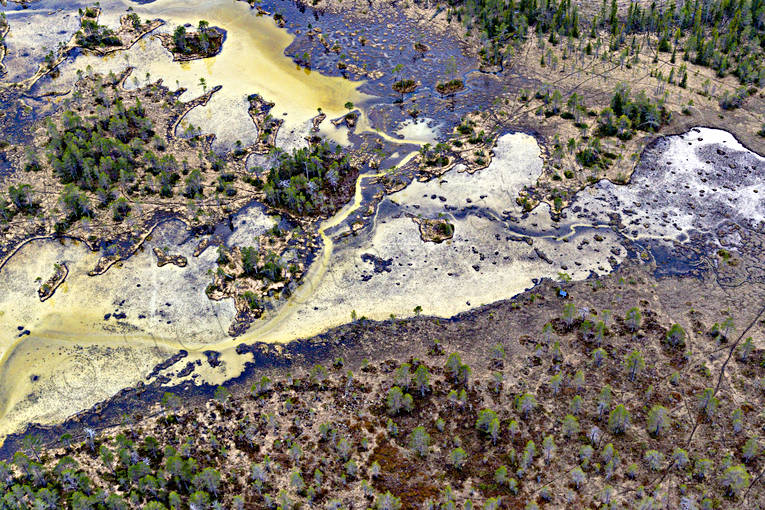 Flygfoto över Bleikamyr blejka, blejkamyr, Blejktjärn, drönarbild, drönarbilder, drönarfoto, flygbild, flygbilder, Flygfoto, flygfoton, Jämtland, kalk, kalkmyr, myr, myrlandskap, myrmark, natur