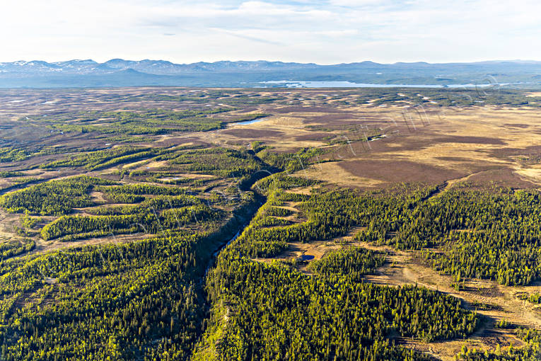 Flygfoto över Flatruet drönarbilder, drönarfoto, Flatruet, flygbild, flygbilder, Flygfoto, flygfoton, Gravargraven, Härjedalen, Landskap, platt, platå, slukränna, sommar