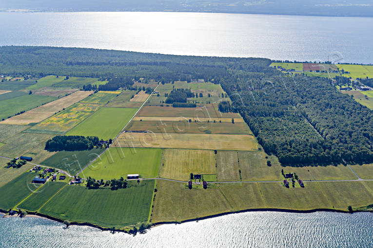 Flygfoto över Visingsö drönarbilder, drönarfoto, flygbild, flygbilder, Flygfoto, flygfoton, Husgärde, Landskap, Rönäs, Småland, sommar, Visingsö