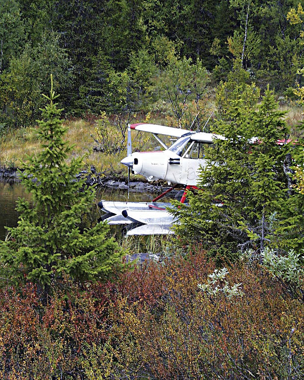 Flygmaskin i skyddad vik flyg, flygmaskin, kommunikationer, luftfart, sjöflyg, sjöflygplan, Super Cub
