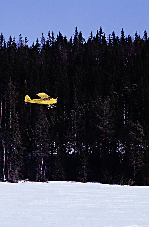 Flygmaskin inför landning på snö flyg, flygmaskin, kommunikationer, landning, luftfart, skidflyg, skidflygning, Super Koala, ultralätt