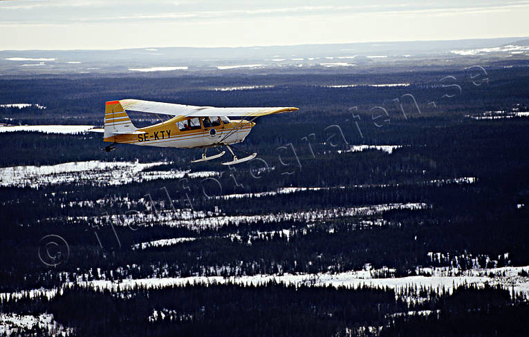 Flygmaskin över skogslandskap Bellanca, Citabria, flyg, flygmaskin, kommunikationer, luftfart, skidflyg, skidflygning