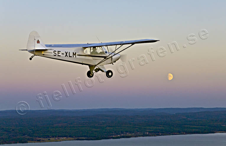 Flygplan i månsken allmänflyg, Cub, flyg, flygplan, frihet, fullmåne, kommunikationer, luftfart, längtan, månsken, pipercub, se-xlm, sportflyg