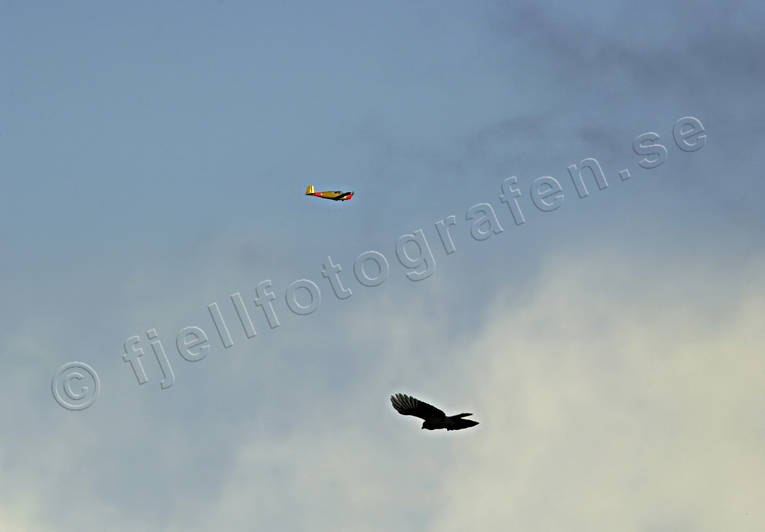 allmnflyg, flyg, flyga, flygplan, fgel, himmel, kommunikationer, luftfart