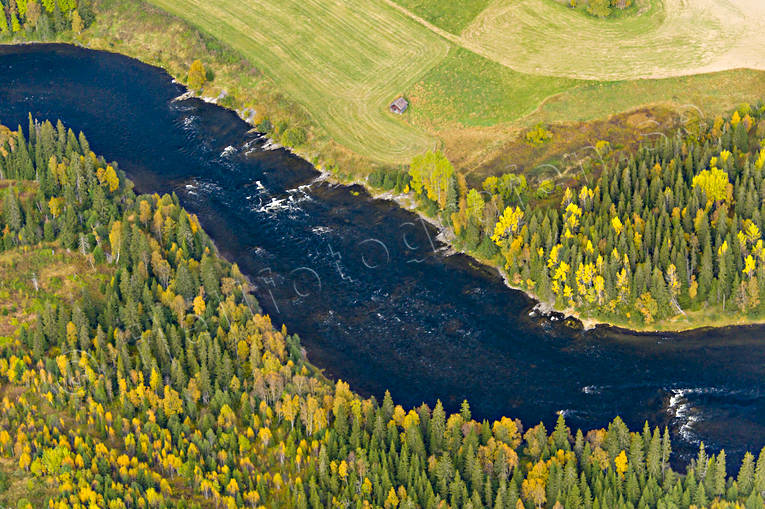 Forsaforsen i Åreälven drönarbilder, Duvedsälven, flygbilder, Flygfoto, Forsaforsen, höst, Jämtland, vattendrag, Åreälven, älvar