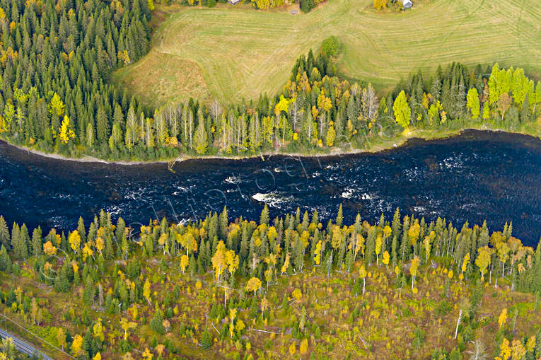 Forsaforsen i Åreälven drönarbilder, drönarfoto, Duvedsälven, flygbild, flygbilder, Flygfoto, flygfoton, Forsaforsen, höst, Jämtland, vattendrag, Åreälven, älvar