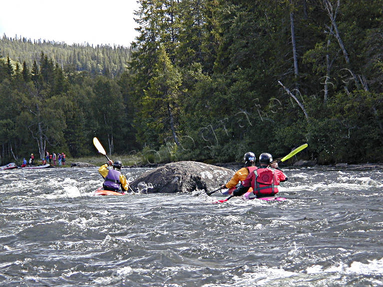 Forspaddling forspaddling, forsränning, friluftsliv, paddling, sommar, uteliv, vattensport, äventyr