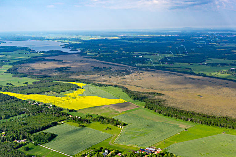Fredsbergs mosse drönarbilder, drönarfoto, flygbild, flygbilder, Flygfoto, flygfoton, Fredsbergs, kulturlandskap, Landskap, mosse, myr, myrmark, odlingslandskap, sommar, Västergötland, åkermark