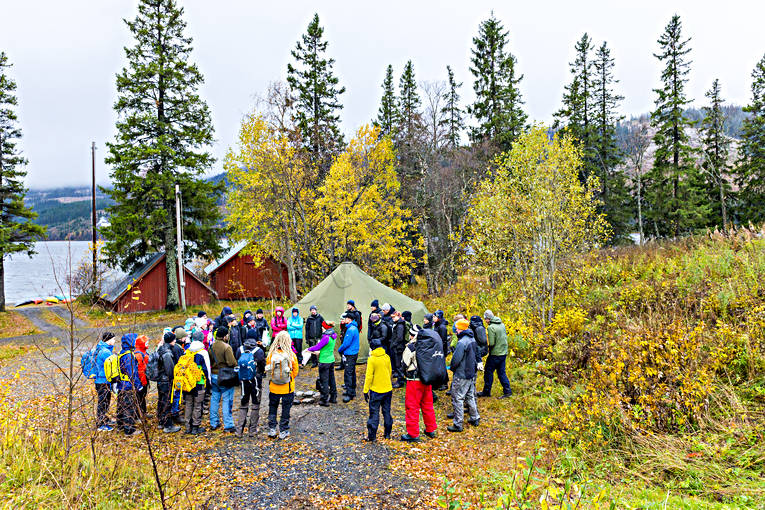 Friluftsliv friluftsliv, grupp, höst, människor, samling, sommar, tälta, äventyr