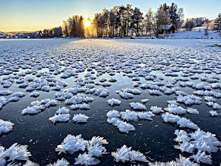 Frostblommor på is frost, frostblommor, is, isblommor, Landskap, motljus, stämningsbild, vinter, årstid, årstider
