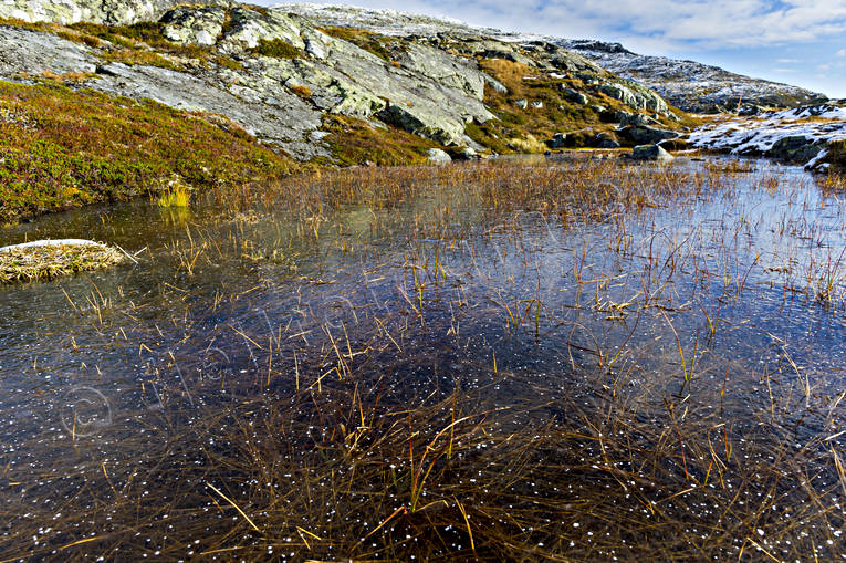 Fruset på Åreskutan fruset, höst, is, myr, natur, sjö, vass, vattendrag, årstider
