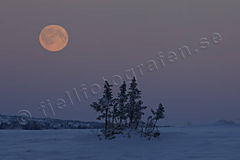 fullmne, Landskap, mne, mnsken, natur, skymning, stmning, stmningsbild, stmningsbilder, vinter, vinterbild, vinterstmning, rstider