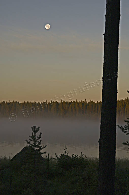 dimma, fullmne, gryning, Hrjedalen, Landskap, morgon, mnsken, soluppgng, sommar, stmning, stmningsbild, stmningsbilder, rstid, rstider, jingssjn