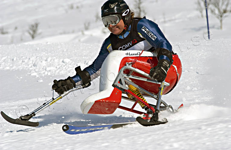 enbent, funktionshindrad, handikappad, koncentration, kryckstavar, sit ski, ski cart, skidor, skidåkare, skidåkning, slalom, sport, stående, sväng, totalskidskolan, tävling, utförsåkning, vinter