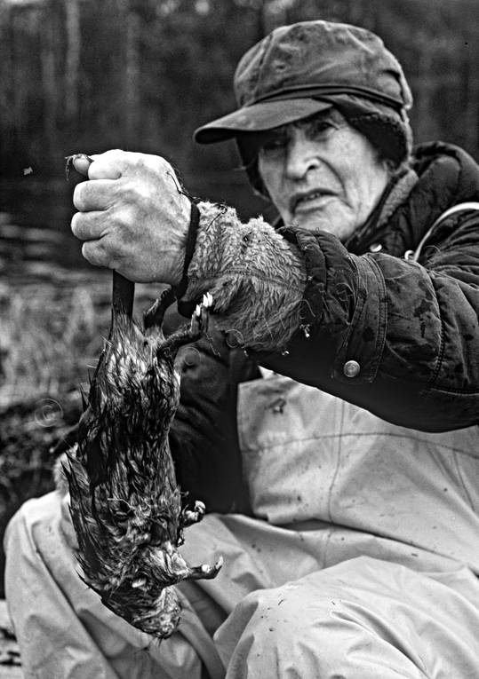 Fångstman med fångad bisam bergstrand, bisam, fångst, fångstman, jakt, trappern, trappern Bergstrand
