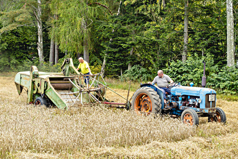 Gammal skördetröska Aktiv, arbete, Fordson Major, gamla, gammal, jordbruk, maskiner, skörda, skördetröska, Visingsö, Visingsö Plöjbojs