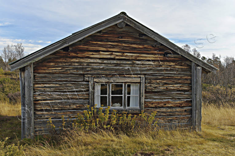 Gammal timrad stuga byggnader, Härjedalen, höst, stuga, timrad, årstid, årstider