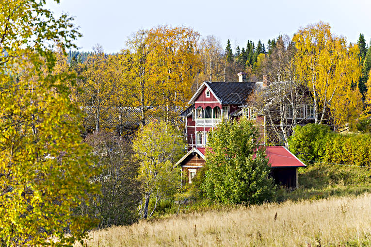 Gammalt hus i skogen anläggningar, byggnader, gårdar, hus, höst, höstfärger, Jämtland, rödmålad