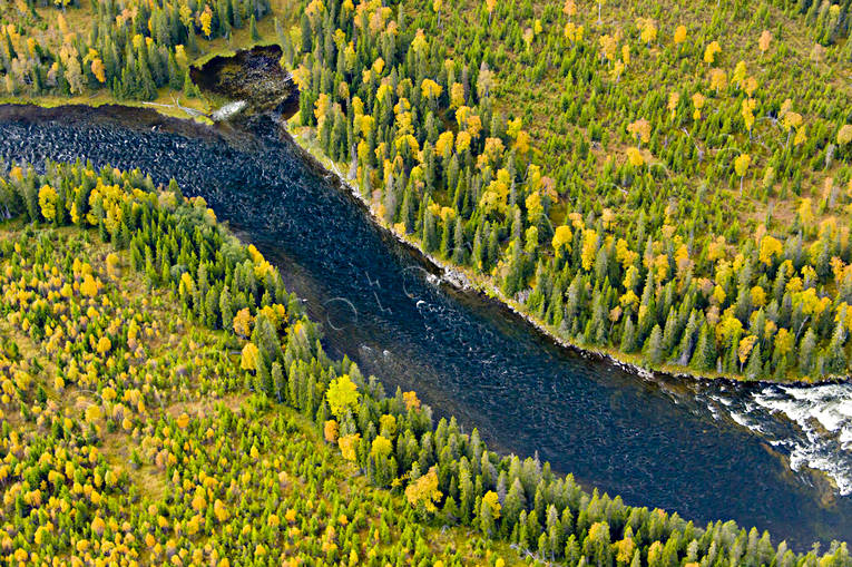 Gevsjöströmmen i Åreälven drönarbilder, drönarfoto, flygbild, flygbilder, Flygfoto, flygfoton, Gevsjöströmmen, höst, Jämtland, vattendrag, Åreälven, älvar
