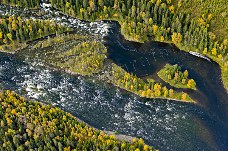Gevsjöströmmen i Åreälven drönarbilder, drönarfoto, flygbild, flygbilder, Flygfoto, flygfoton, Gevsjöströmmen, höst, Jämtland, vattendrag, Åreälven, älvar