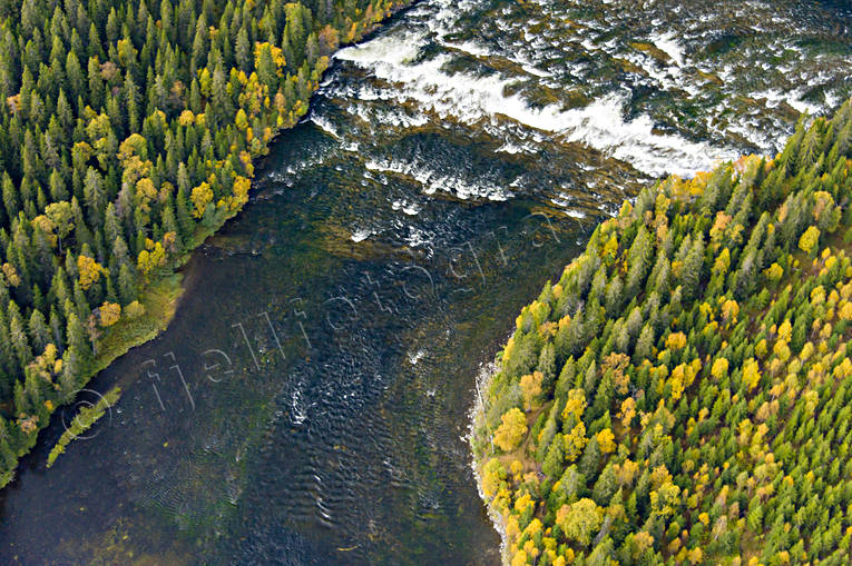 Gevsjöströmmen i Åreälven drönarbilder, drönarfoto, flygbild, flygbilder, Flygfoto, flygfoton, Gevsjöströmmen, höst, Jämtland, vattendrag, Åreälven, älvar
