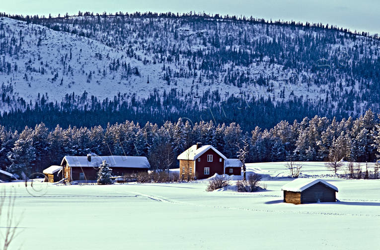 fjllgrd, glesbygd, grd, Jmtland, vinter, rstid, rstider