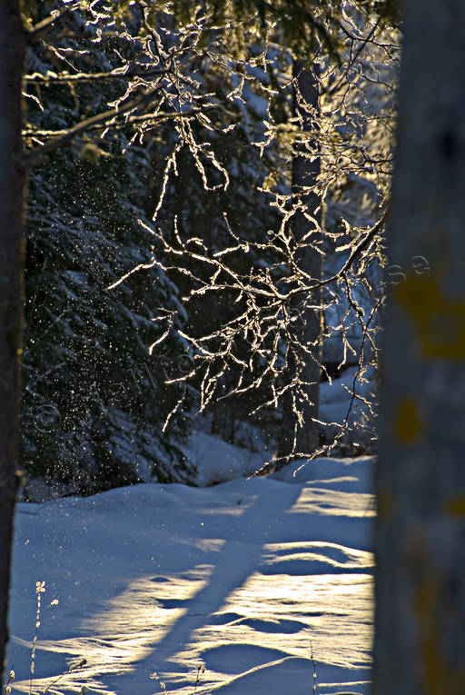 jul, julbilder, julkort, julstmning, stmning, stmningsbild, stmningsbilder, vinter, vinterbilder, rstid, rstider