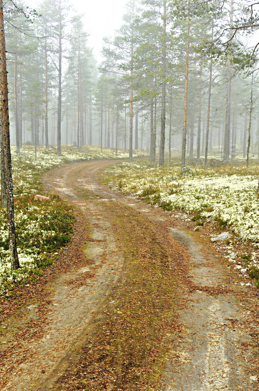 dimma, grusvg, Hrjedalen, hst, kommunikationer, landfart, Landskap, vg, rstid, rstider