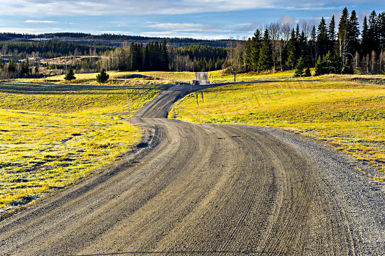 Grusväg i höstlandskap grusväg, höst, Jämtland, kommunikationer, kurvig, kurvor, landfart, Landskap, natur, slingrig, väg, ängsmark