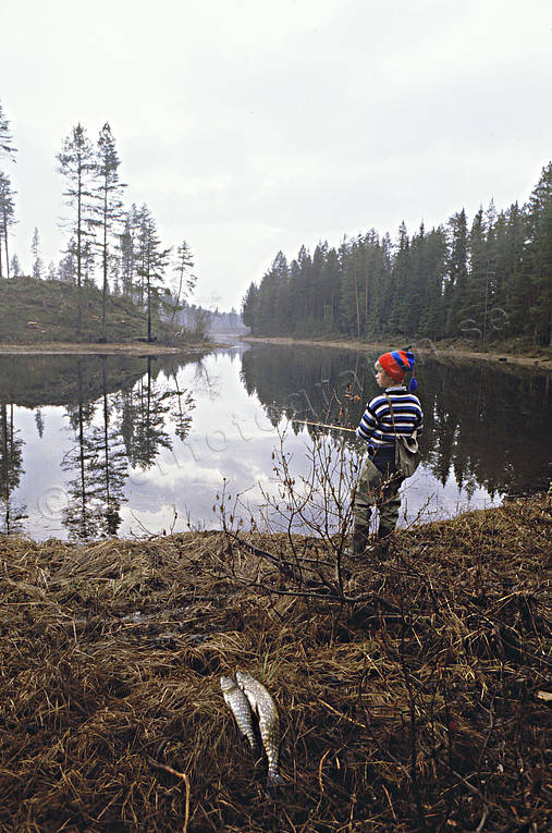 Gäddfiske i Mörtån fiske, gädda, gäddfiske, haspel, haspelfiske, pojke, spinn, spinnfiske, sportfiske
