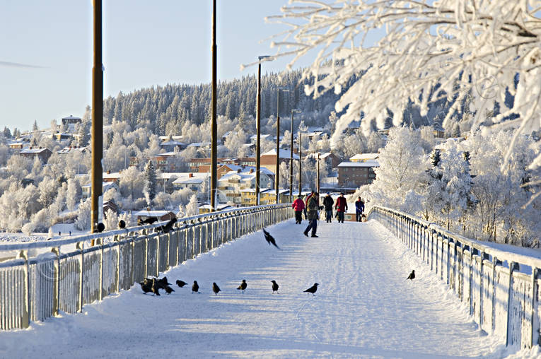 Gångbron Östersund-Frösön Badhusparken, frost, Frösön, gångbro, gångbron, Jämtland, kallt, kyla, midvinter, rimfrost, stämning, stämningsbild, stämningsbilder, vinter, vinterstaden, vinterstämning, Östersund